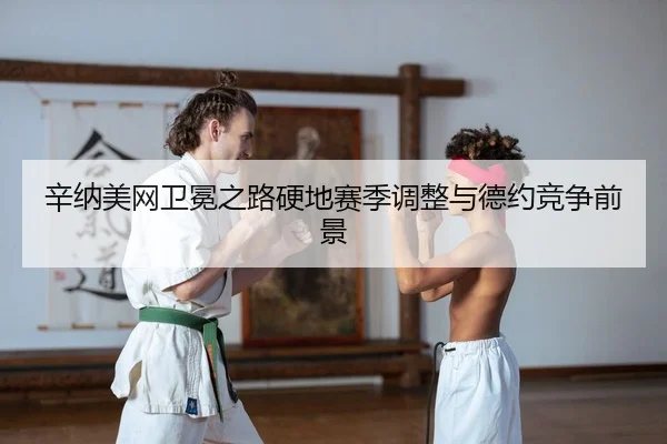 辛纳美网卫冕之路硬地赛季调整与德约竞争前景